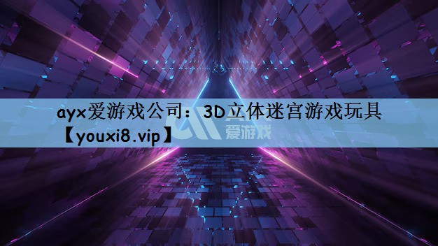 ayx爱游戏公司：3D立体迷宫游戏玩具