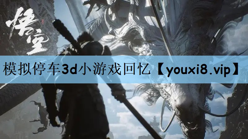 模拟停车3d小游戏回忆